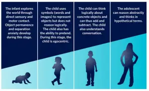 Developmental stages birth teen